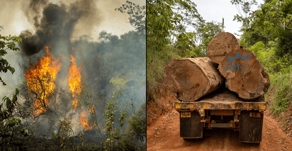 Incendios y talas en el Amazonas